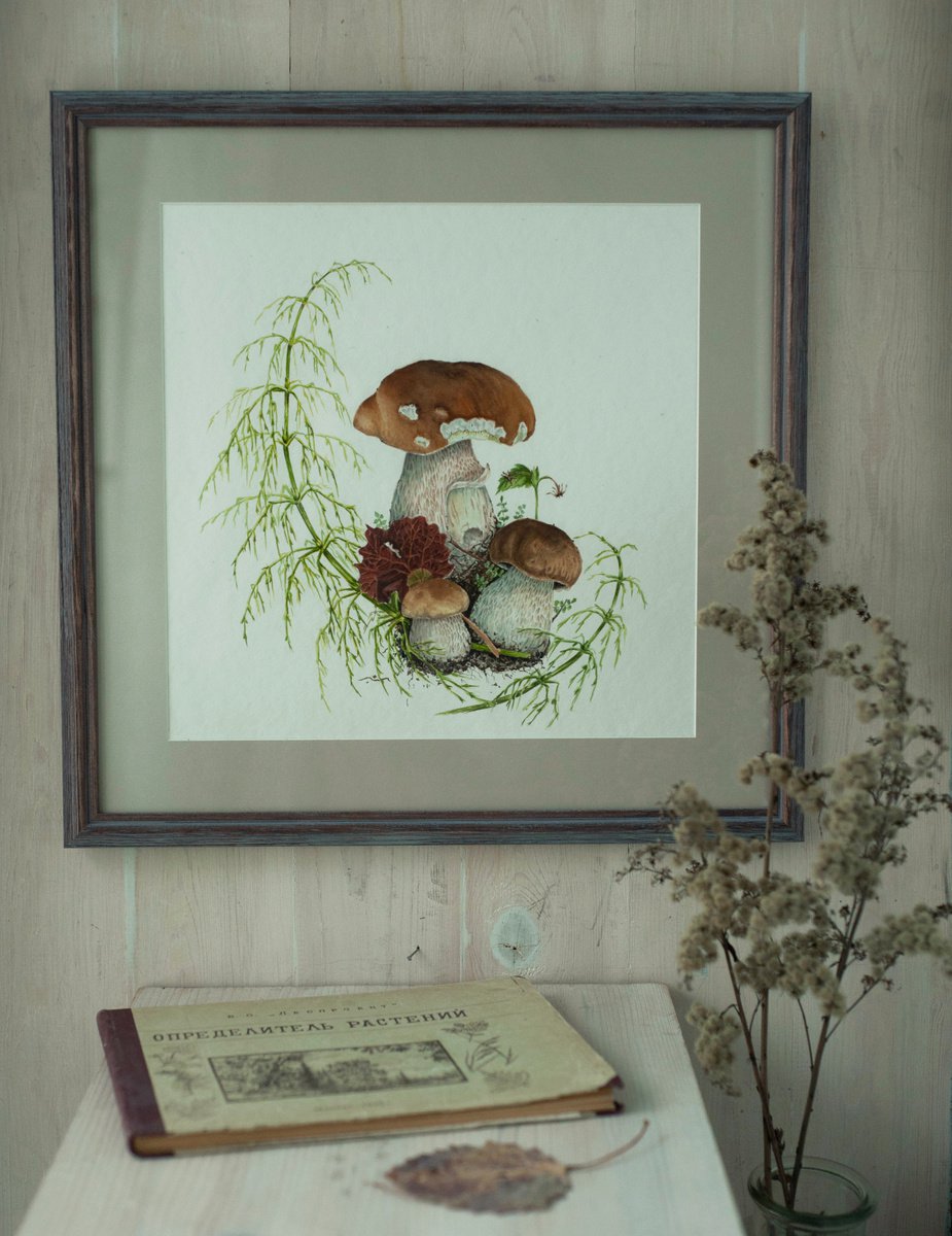 Mushroom botanical illustration, art gift by Maria Chernobrovkina