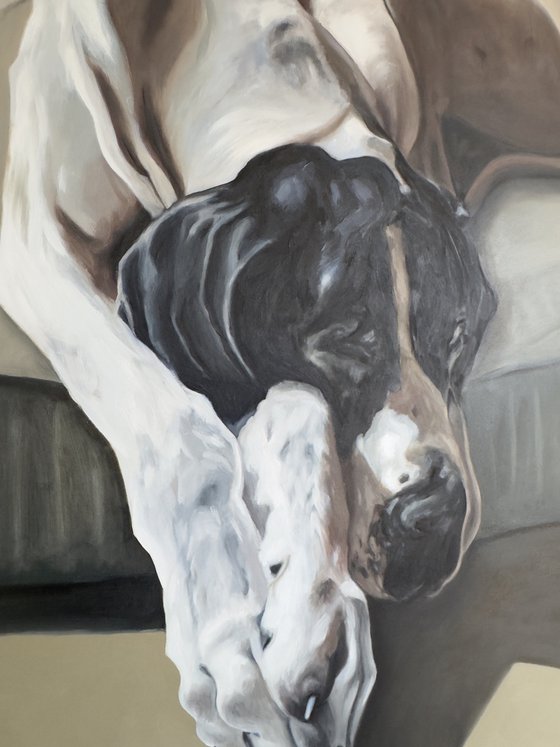 Sleeping Dane
