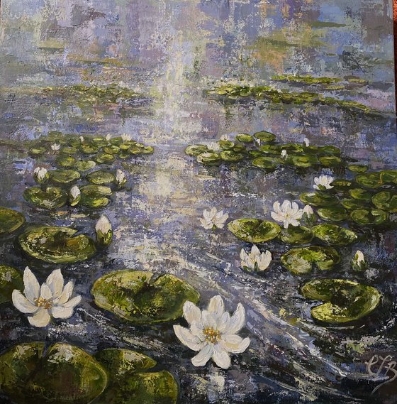 Rain on Lilly pond