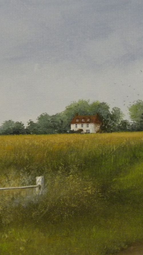 Romney Marsh Kent by Colin Buckham
