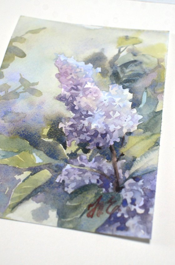 Lilac branch in watercolor