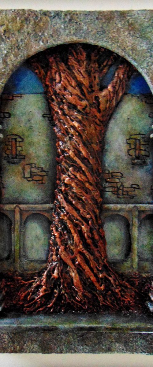 Muckross Abbey by Timothy  Mc Gillicuddy