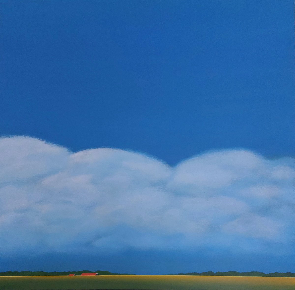 Springtime In My Polder (3) By Nelly Van Nieuwenhuijzen, 35 X 35, Artwork For Sale On Artfinder