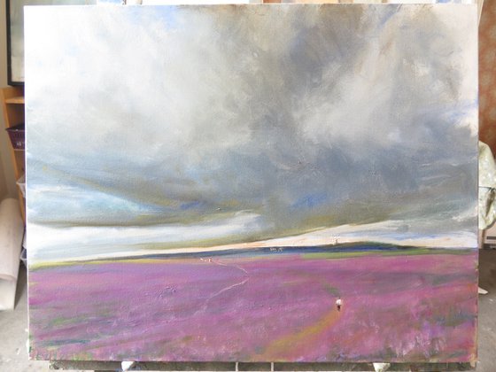 Goathland Heather