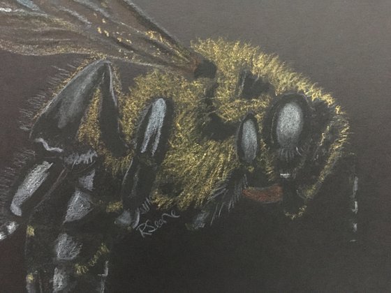 Bee