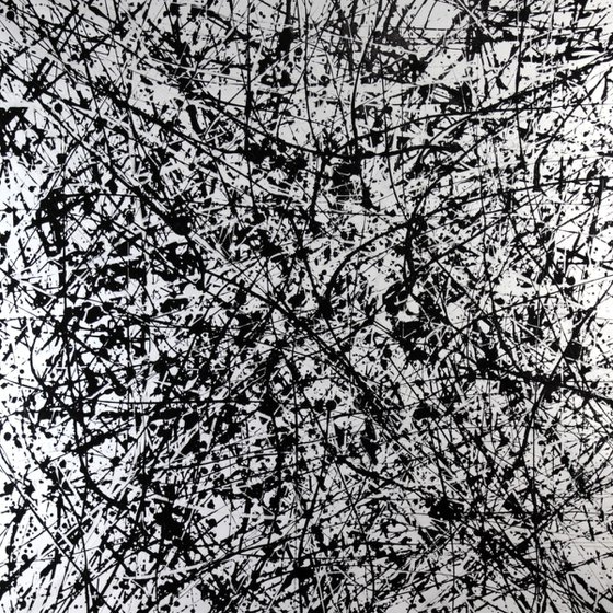 Black and White Evolution