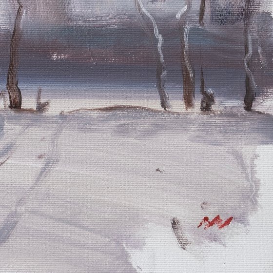 Winter landscape