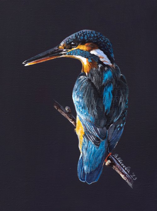 Kingfisher by Vera Evseeva