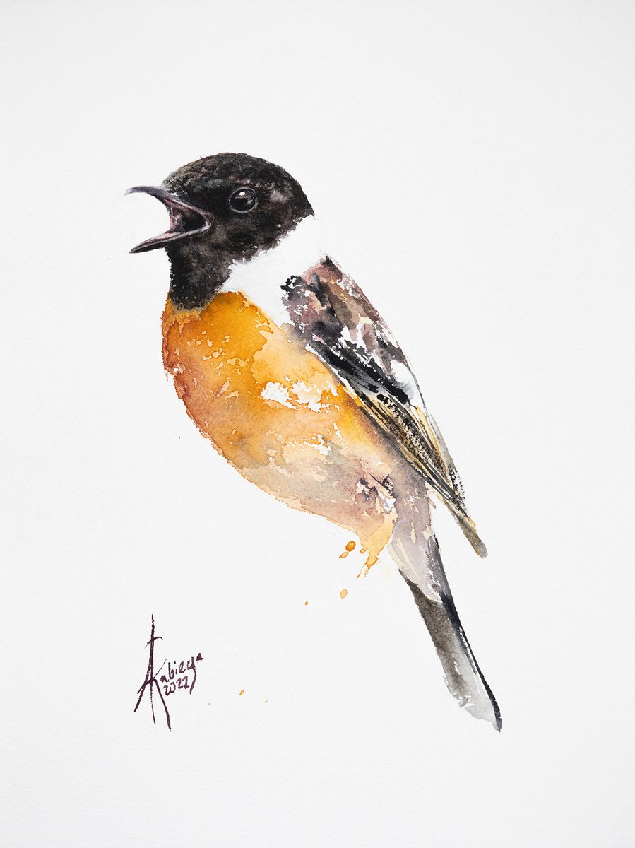 Stonechat by Andrzej Rabiega