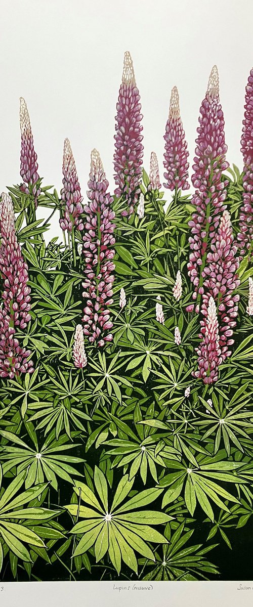 Lupins (mauve) by Susan Noble