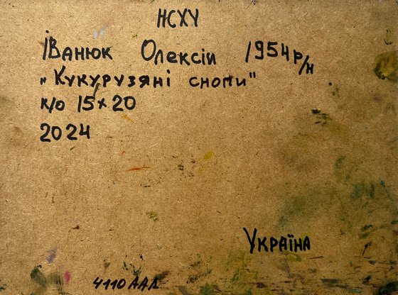 Corn fields in the village