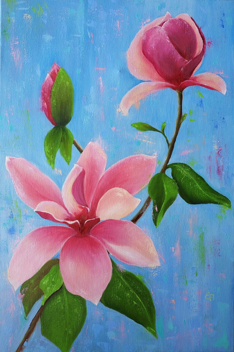 Magnolia blossom by Olena Poleva
