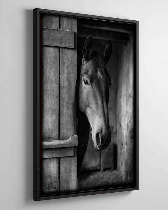 Horse in old village B0805C