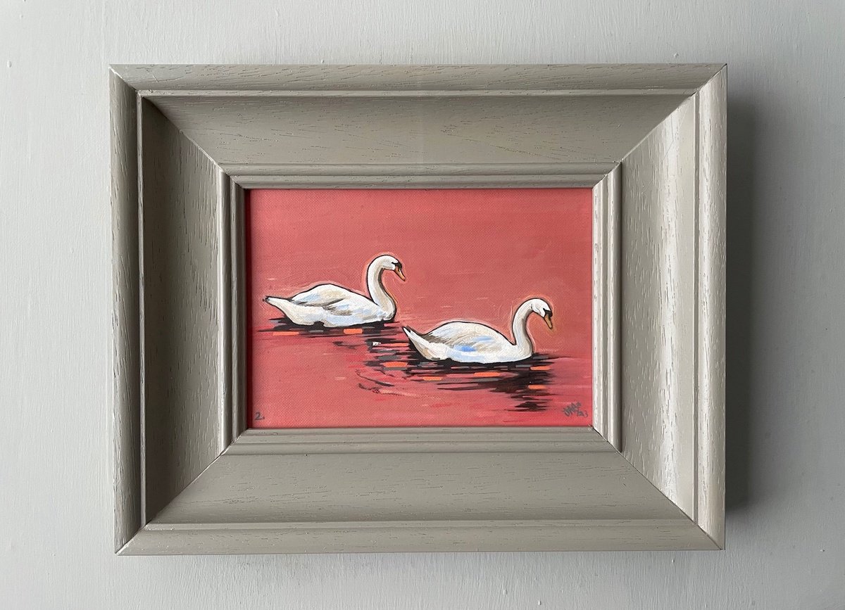 Swan Study #2 by Jem Gooding