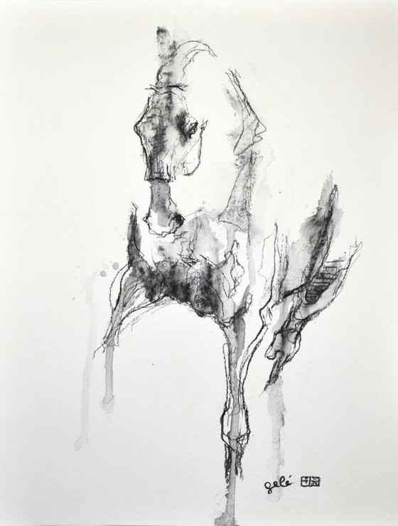 Equine Nude 47t