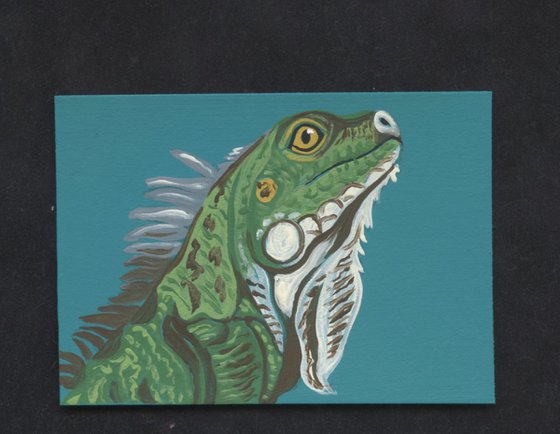 ACEO ATC Original Miniature Painting Green Iguana Lizard  Wildlife Art-Carla Smale