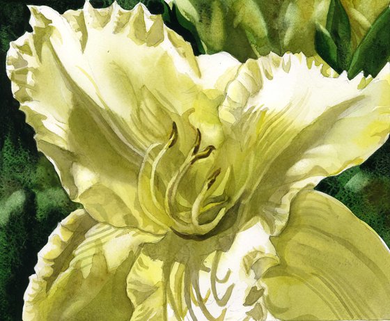 lemon yellow lily