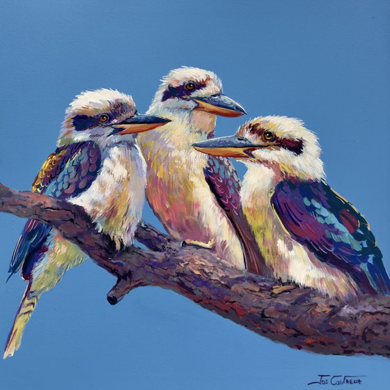 Three Kookaburras #4