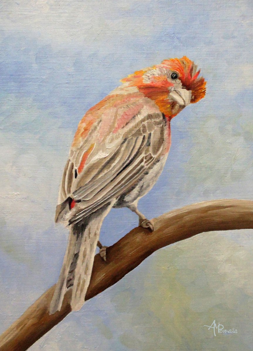 I Spy With My Little Eye By Angeles M. Pomata, 10 X 13, Artwork For Sale On Artfinder