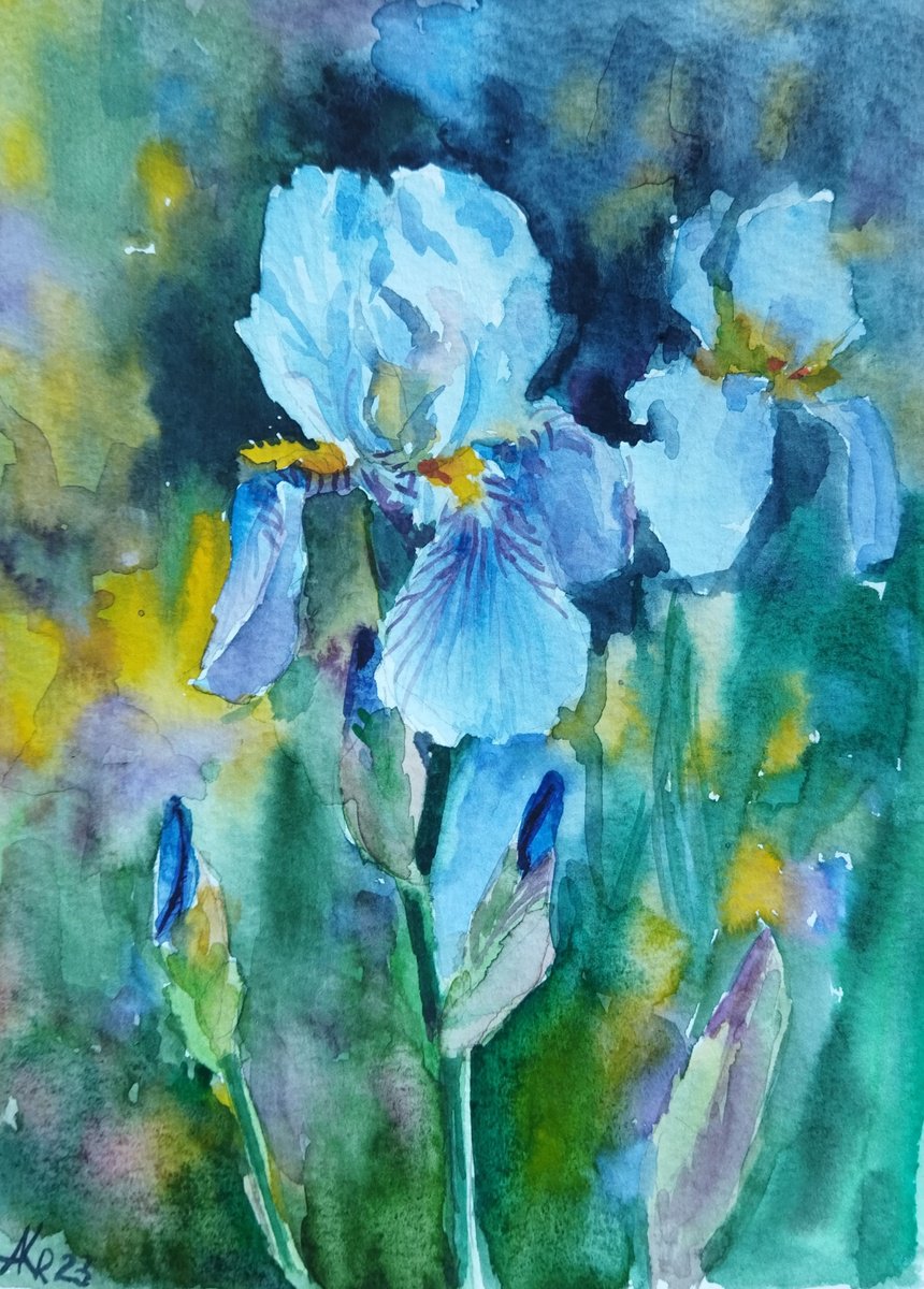 Iris by Ann Krasikova