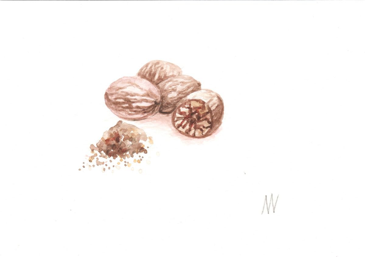Nutmeg. by Mag Verkhovets