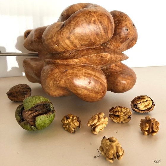 Walnut kernel