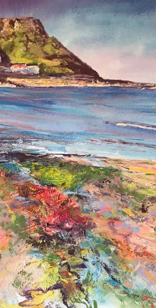 Runswick Bay by Andrew Moodie