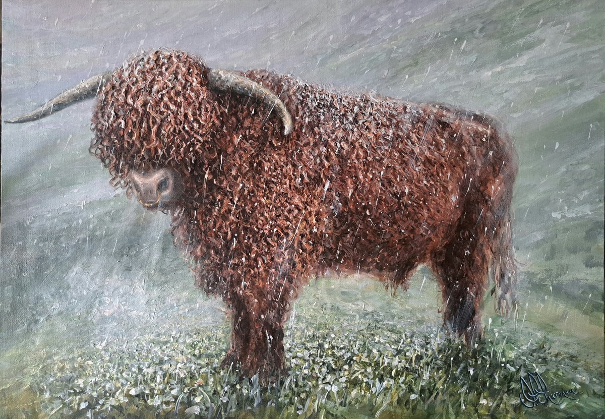 Expressive Animal Acrylic Painting By Joseph Charman, 23 X 17, Winter Highlander, Original Artwork