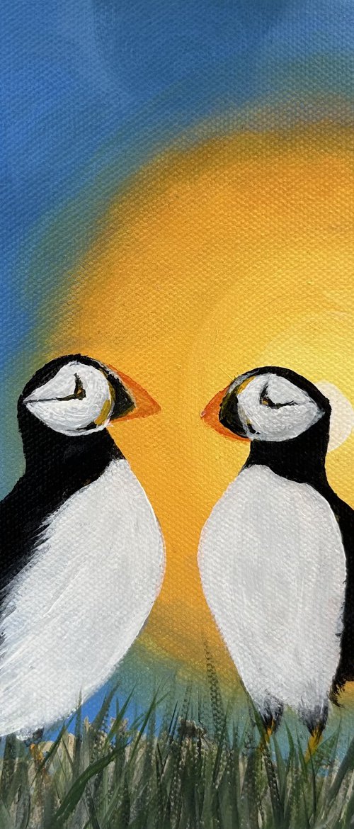 Puffins at sunset by Maxine Taylor