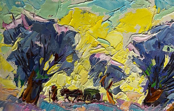 Winter morning in the field