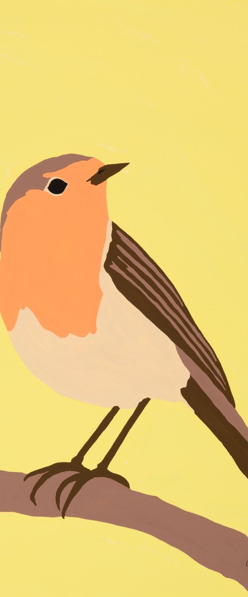 Robin by Alícia Gómez
