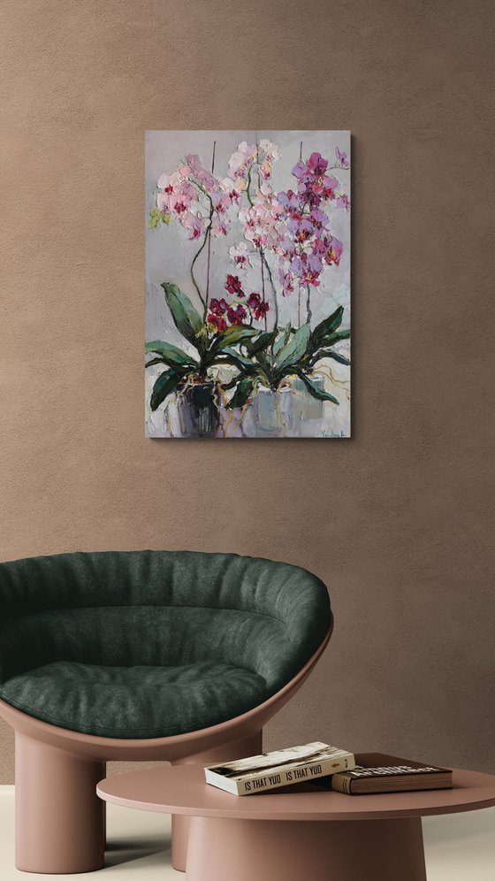 Blooming Orchids