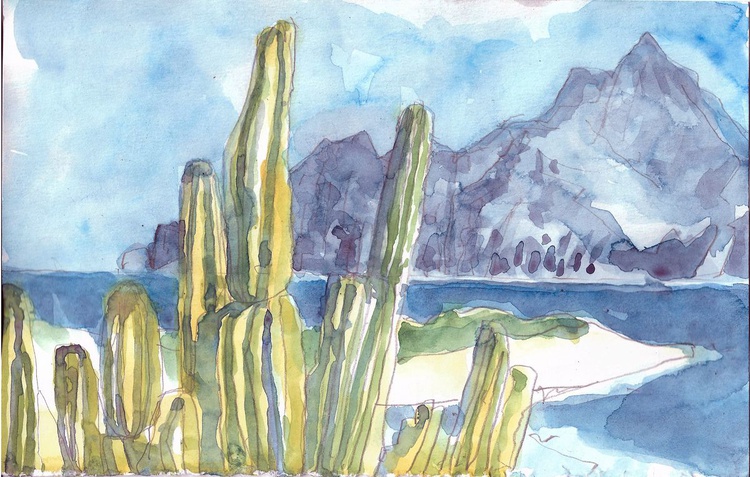 Sonoran Desert Watercolour By Carlos Durazo Artfinder