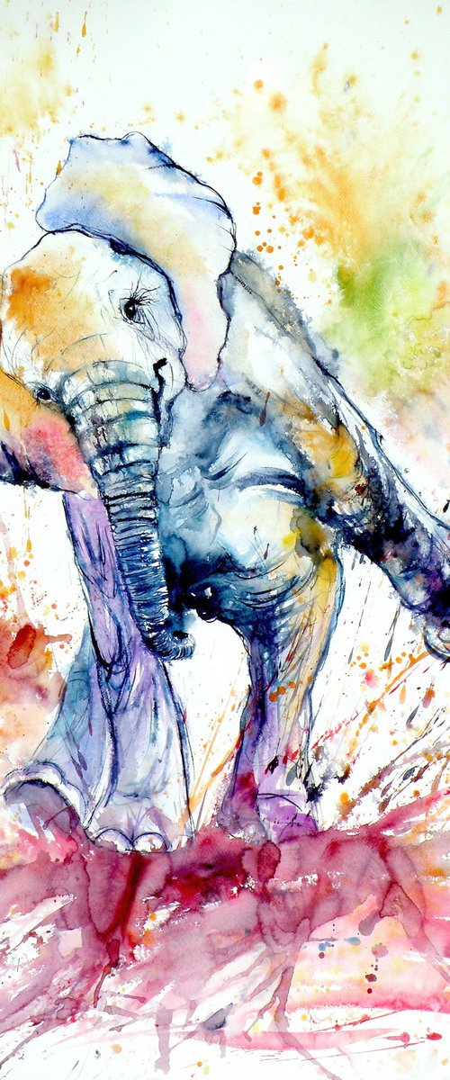 Playing elephant baby V by Kovács Anna Brigitta