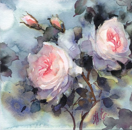 Summer garden beauty / Roses in watercolor by Yulia Evsyukova