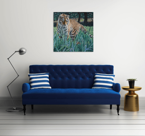 Amur Tiger - First Encounter