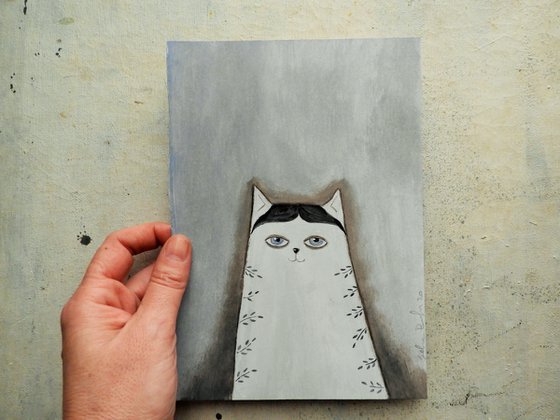The black and white cat
