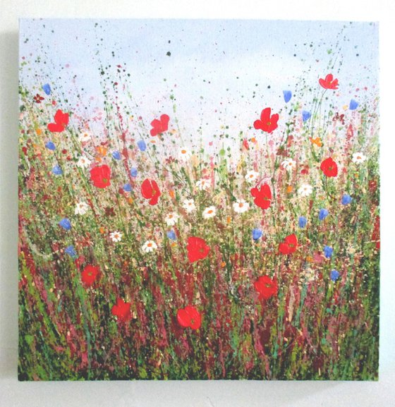 Poppy Meadow