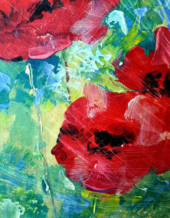 Poppies 10