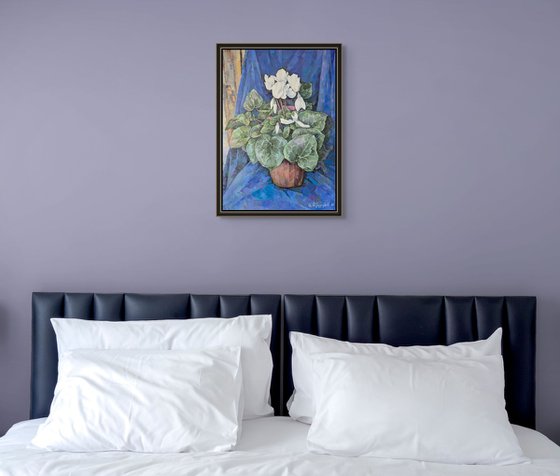 Cyclamen in Terracotta