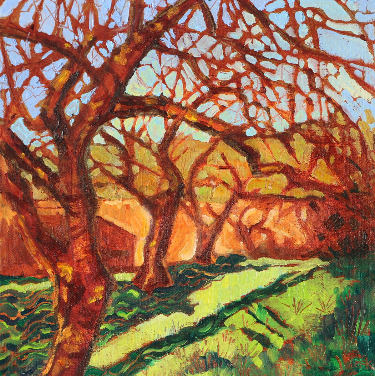 Impressionistic Landscape Oil Painting By Mary Kemp, 12 X 12", Cherry Trees In Winter Sun, Original Artwork