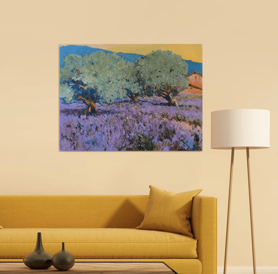 Lavender and Olive Trees