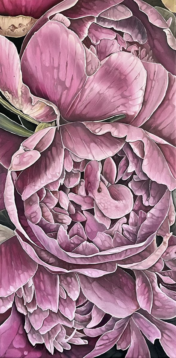 Photorealistic Botanical Oil Painting By Myroslava Denysyuk, 12 X 24", Pink Peonies, Original Artwork