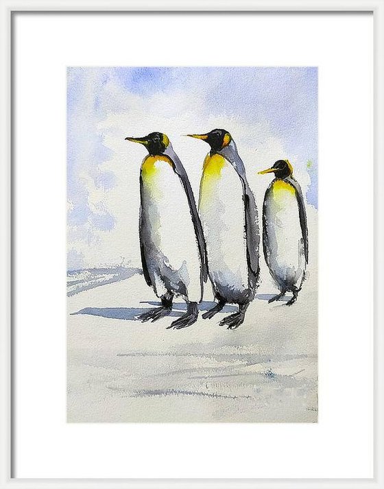 Three penguins on a morning walk
