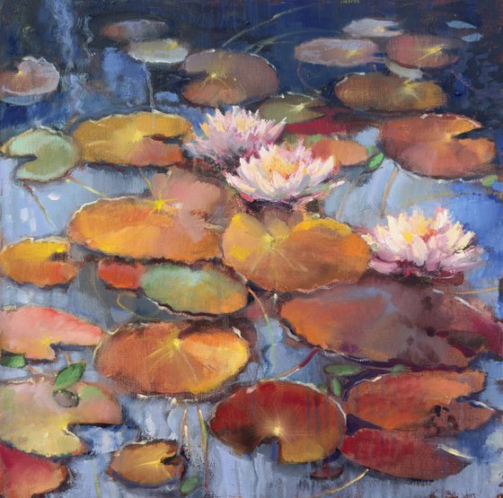 Water lilies