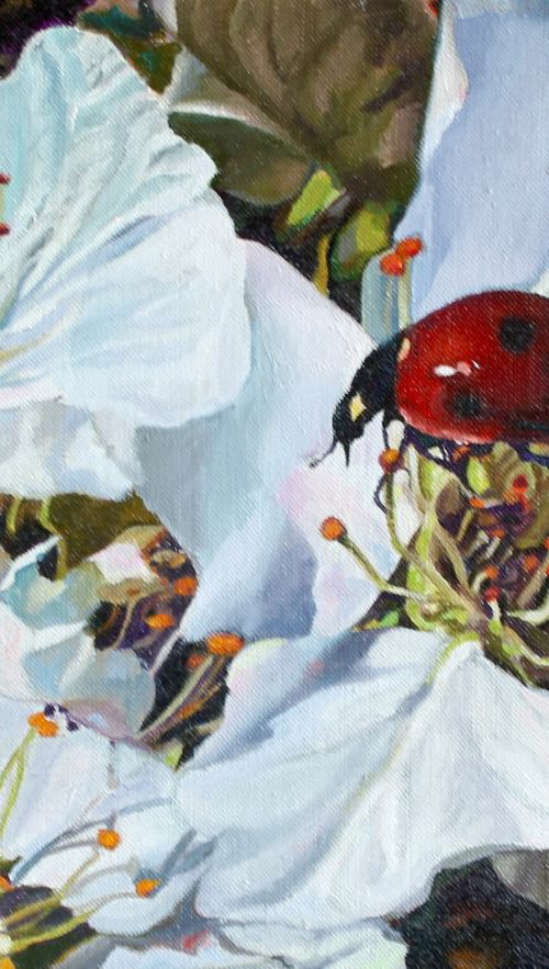 Apple blossoms by Natalia Lugovskaya