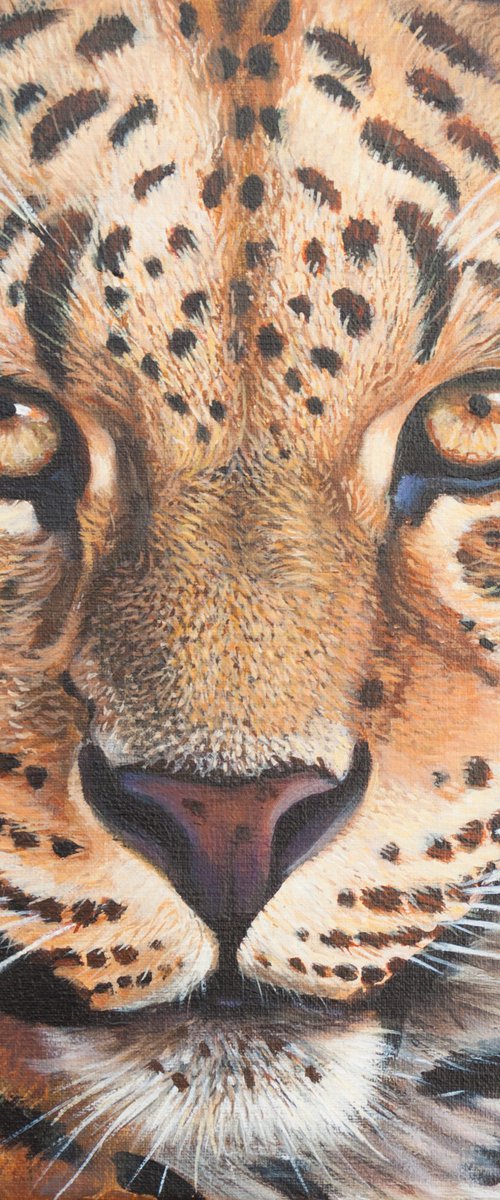 Leopart portrait by Norma Beatriz Zaro