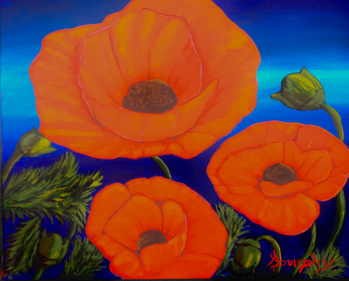 Poppies by Dunphy Fine Art