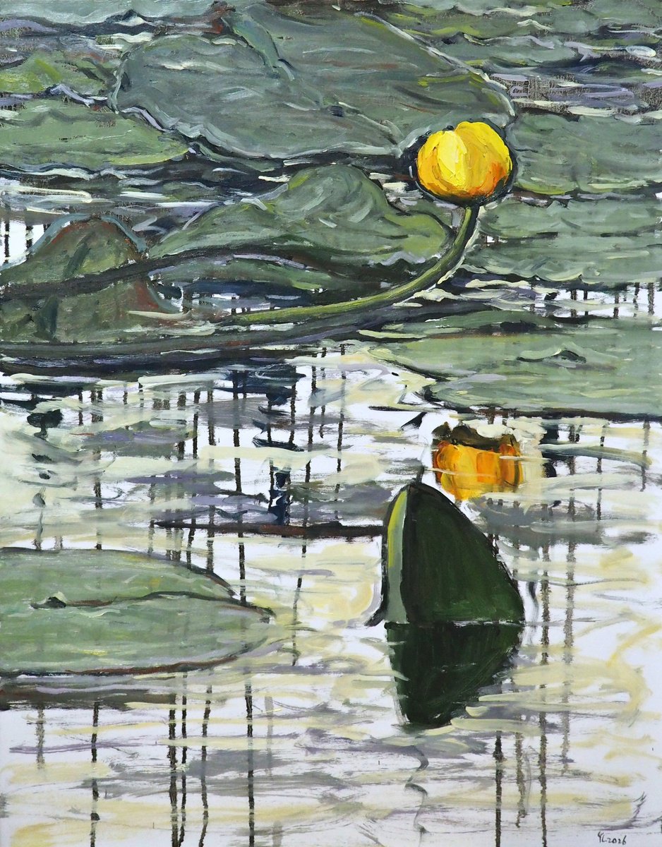 Water Lilies By Yuanyuan Liu, 28 X 35, Artwork For Sale On Artfinder