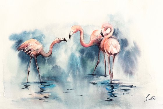 Flamingos